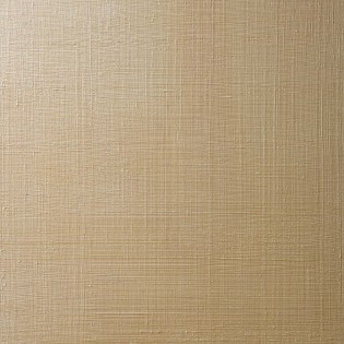 1000 линий №5 декоративная штукатурка арт.220