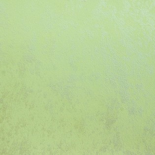 Декоративная штукатурка  №61 декоративная штукатурка арт.2115