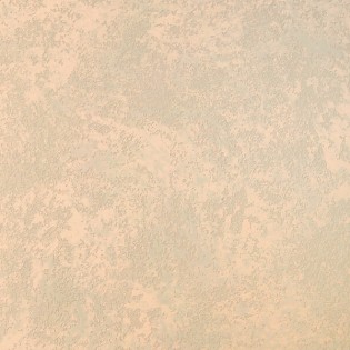 Фактурная №27 декоративная штукатурка арт.351