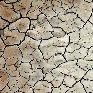 Рельефная №100 декоративная штукатурка арт.1397